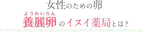 養麗卵 ようれいらん 茶卵 クイックセミナー試食会